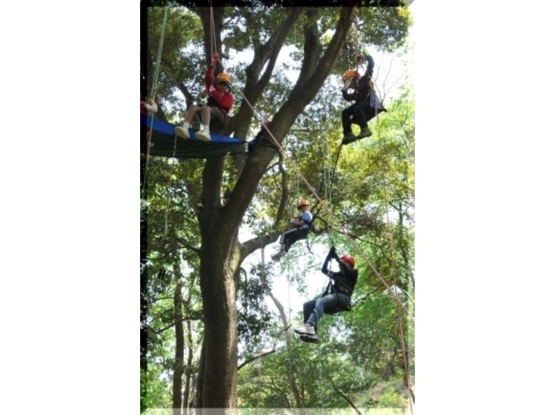 Kids Tree Climbing! Family Forest Adventure