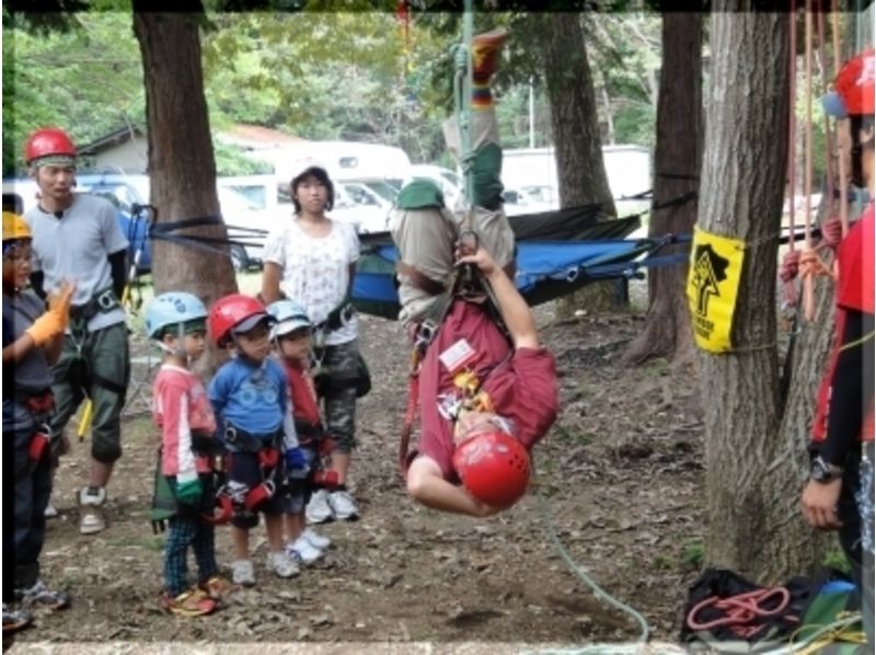 Kids Tree Climbing! Family Forest Adventure