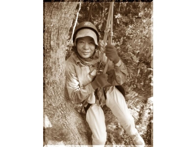 Kids Tree Climbing! Family Forest Adventure