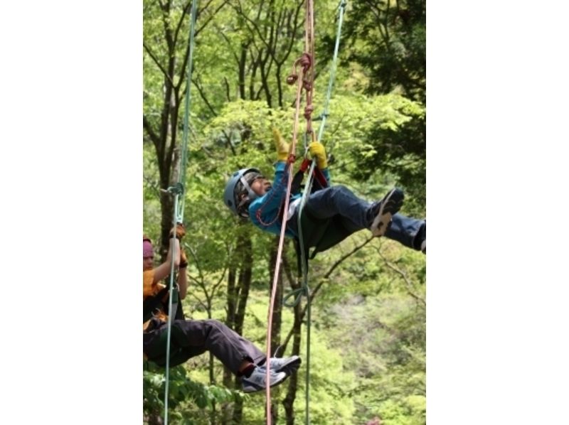 Kids Tree Climbing! Family Forest Adventure