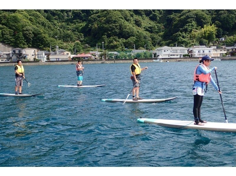 [Shizuoka / Izu Nagaoka] Experience the hottest SUP now! (Beginner course, half day)