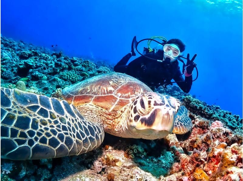 ウミガメ探索コース♪【慶良間ボート体験ダイビング２本／本島中部 宜野湾発】自社船開催☆写真無料☆送迎OK☆３本目OK☆お一人様OK