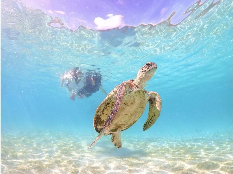 【宮古島・ドローン撮影無料！】ユニの浜＆ウミガメシュノーケルツアー！遭遇率100%継続中！1才〜参加可能！