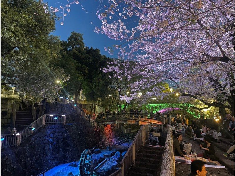 [Tokyo, Oji] Enjoy cherry blossom viewing in a premium seat! Lunch included! 